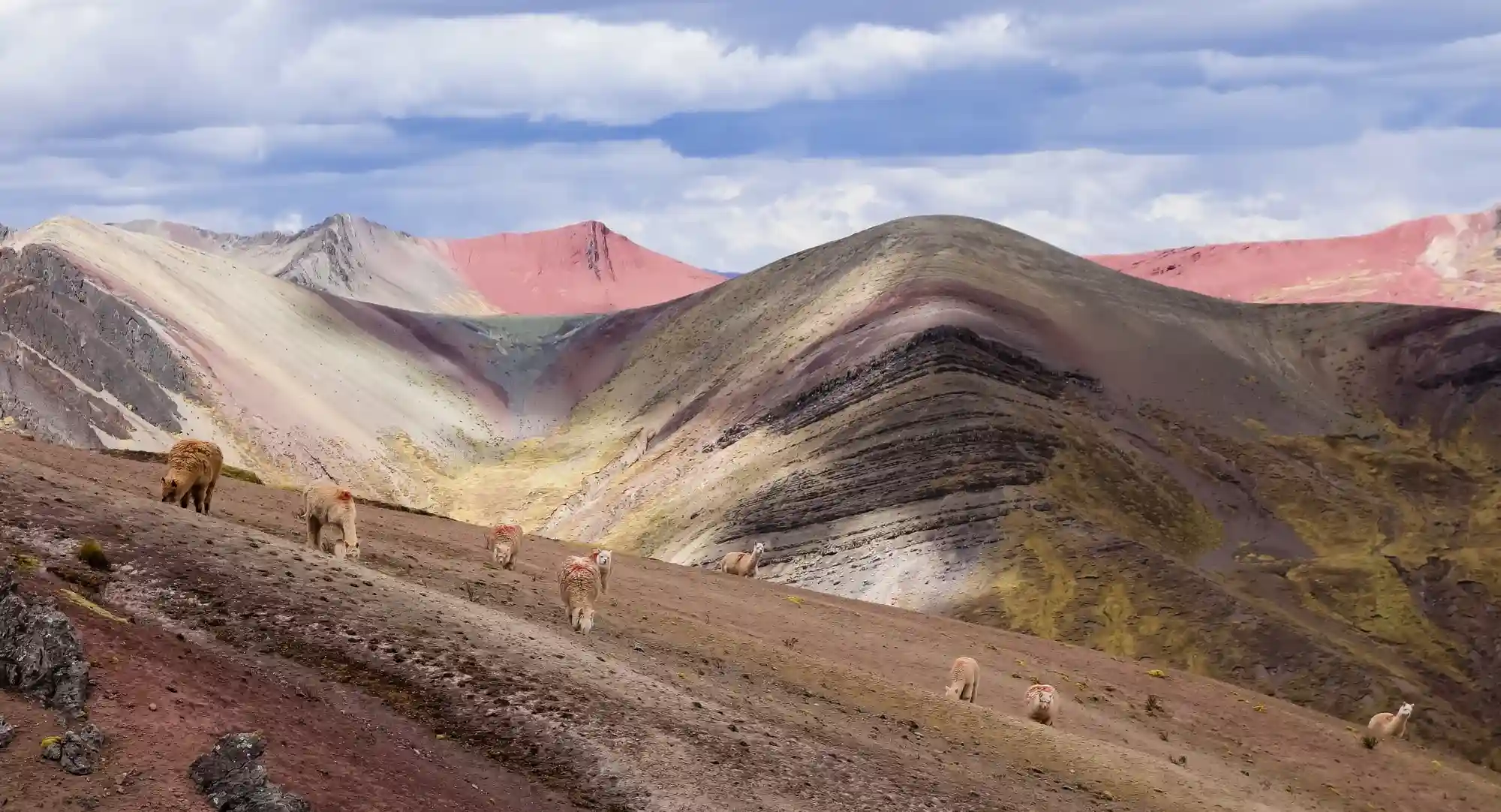 Palcoyo Rainbow Mountain Private Transport